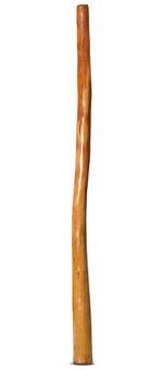 Gloss Finish Didgeridoo (TW1306)